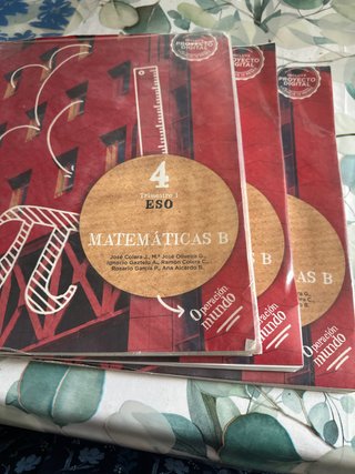 Libro de Matemáticas B 4ESO