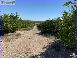 Terreno en venta en Abanilla