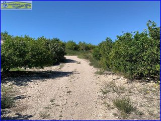 Terreno en venta en Abanilla