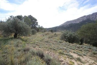 Terreno en venta en Benissa pueblo en Benissa