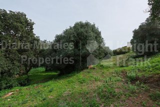 Solar en venta en Sotogrande Alto en San Roque