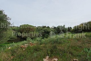 Solar en venta en Sotogrande Alto en San Roque