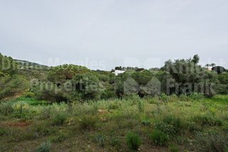 Solar en venta en Sotogrande Alto en San Roque