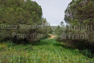 Solar en venta en Sotogrande Alto en San Roque