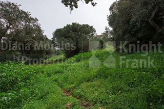 Solar en venta en Sotogrande Alto en San Roque