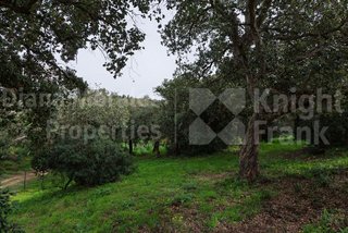 Solar en venta en Sotogrande Alto en San Roque