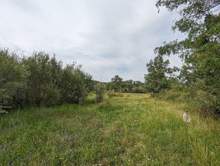 Terreno en venta en Candeleda