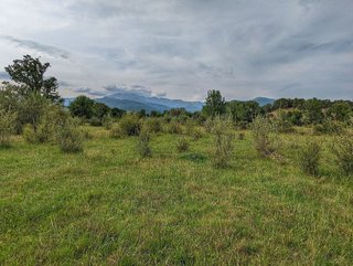Terreno en venta en Candeleda