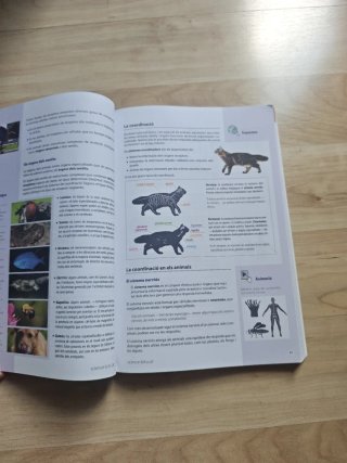 Biología y Geología, 1re ESO, Science Bits