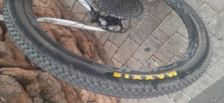 Berria Bravo Carbono MTB