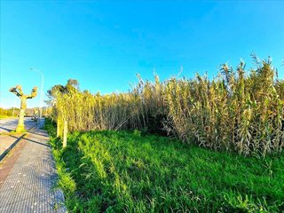 Terreno en venta en Centro en Nigrán