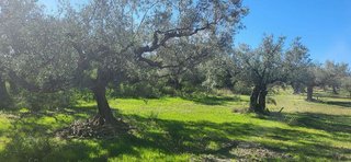 Terreno en venta en Roquetes