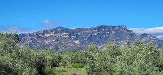 Terreno en venta en Roquetes