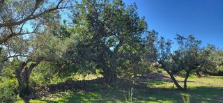 Terreno en venta en Roquetes