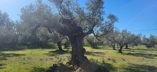 Terreno en venta en Roquetes