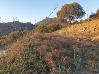 Terreno en venta en Ubrique