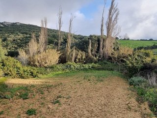Masía en venta en Casares en Casares