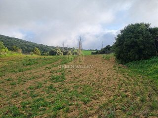 Masía en venta en Casares en Casares