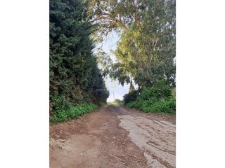 Masía en venta en Casares en Casares