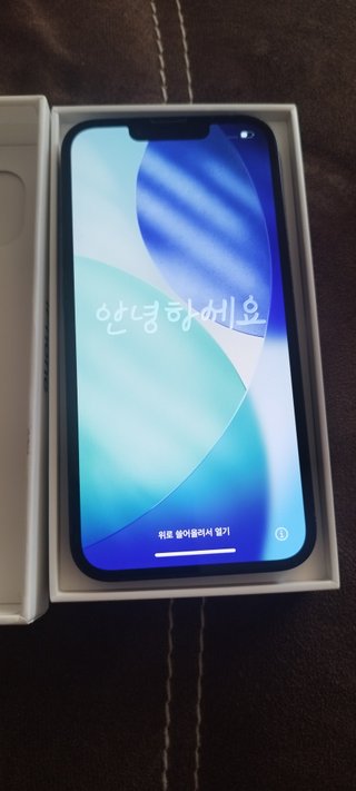 iPhone 13 batería 100%