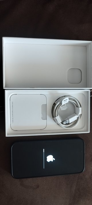 iPhone 13 batería 100%