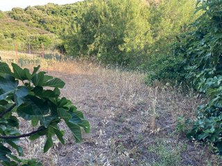 Terreno en venta en Vejer de la Frontera