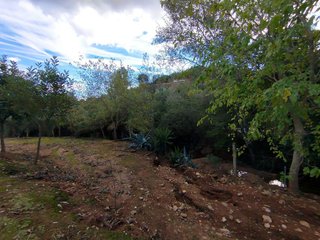 Chalet en venta en Cantillana