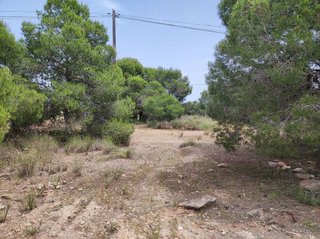 Terreno en venta en Valverde en Elche