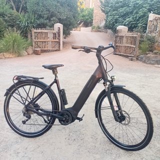 Bicicleta Eléctrica Giant Dayli Tour Talla M
