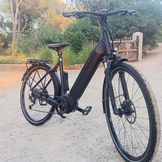 Bicicleta Eléctrica Giant Dayli Tour Talla M