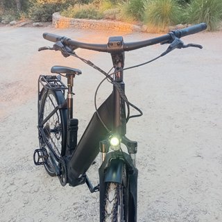 Bicicleta Eléctrica Giant Dayli Tour Talla M