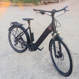 Bicicleta Eléctrica Giant Dayli Tour Talla M