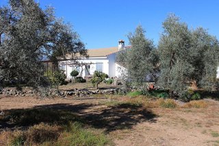 Chalet en venta en Arriate