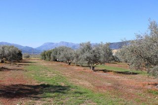 Chalet en venta en Arriate