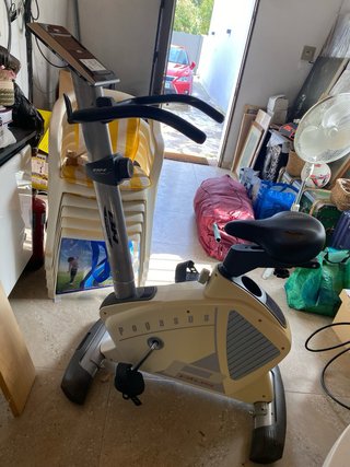 Bicicleta estática BH Pegasus Plus