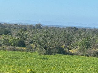 Terreno en venta en Porreres