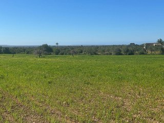 Terreno en venta en Porreres