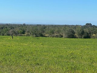 Terreno en venta en Porreres
