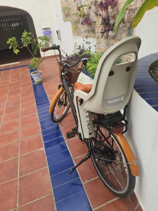 Bicicleta Eléctrica Biwbik con Silla Infantil.