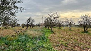 Casa rural en venta en Binissalem