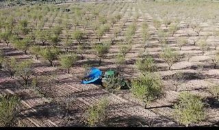 Casa rural en venta en Yecla