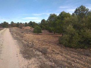 Casa rural en venta en Yecla