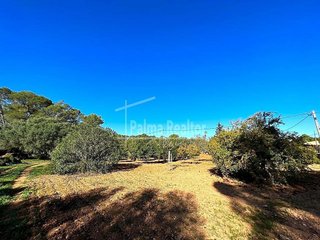 Solar en venta en Algaida
