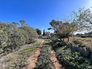 Solar en venta en Algaida