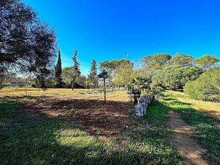 Solar en venta en Algaida