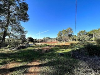 Solar en venta en Algaida