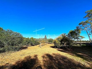 Solar en venta en Algaida
