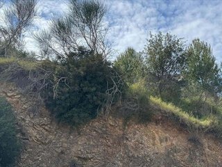 Terreno en venta en Tossa De Mar en Tossa de Mar