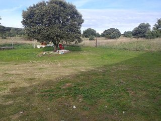 Terreno en alquiler en Pedrezuela