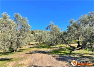 Terreno en venta en Villanueva del Trabuco